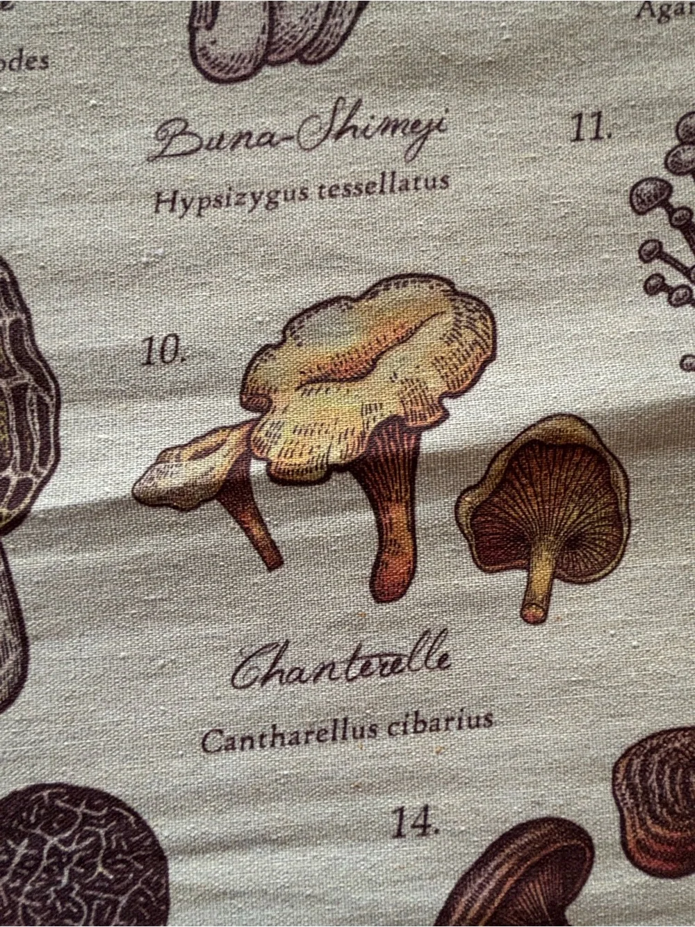 Mushrooms of the World Wall Hanging - Neutral Brown Canvas